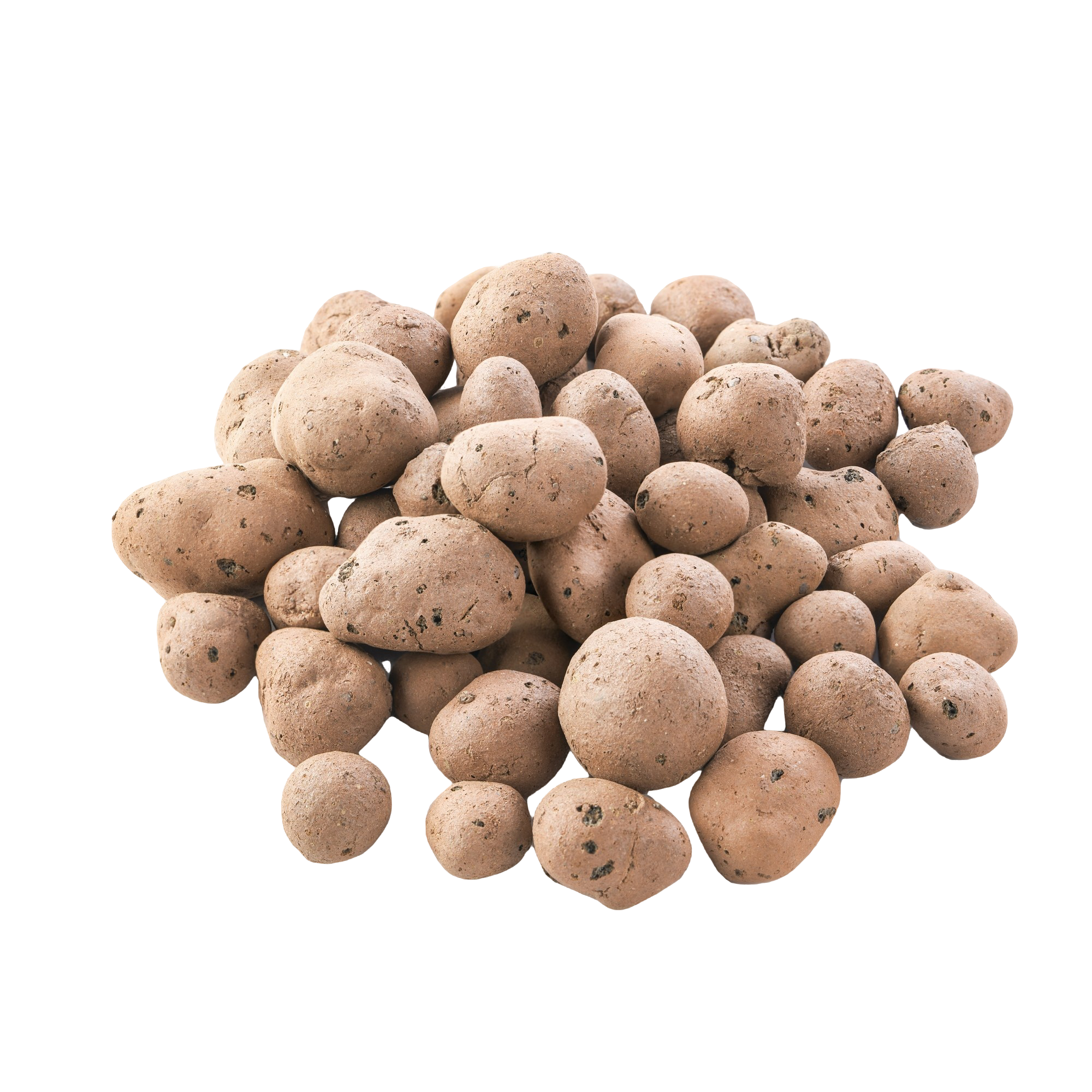 LECA Product 1